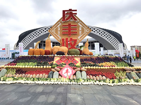 胜游亚洲